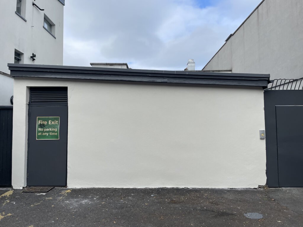 painting exterior back side wall in Dublin